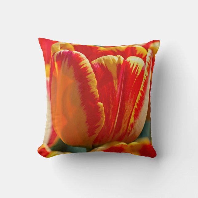 Coussin Tulipes brillantes (Recto)