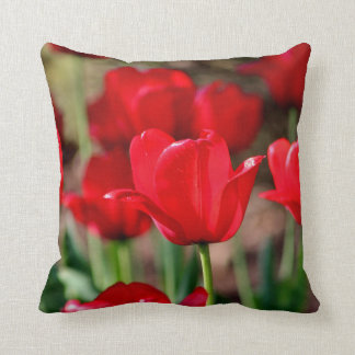 Coussin Tulipes rouges