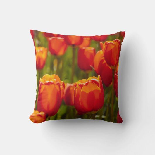 Coussin Tulipes rouges impression photographique. aimant (Recto)