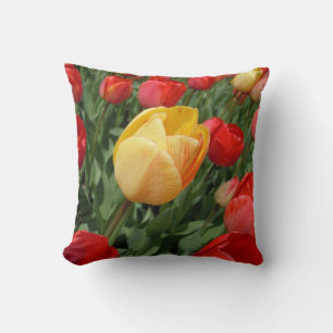 COUSSIN TULIPS