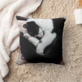 Coussin Tuxedo Chat Kitty Chats Noir et Blanc Catalogue (Couverture)