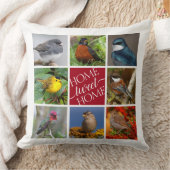 Coussin Tweet Accueil 8 Oiseaux chanteurs américains 8 Col (Couverture)