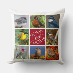 Coussin Tweet Accueil 8 Oiseaux chanteurs américains 8 Col