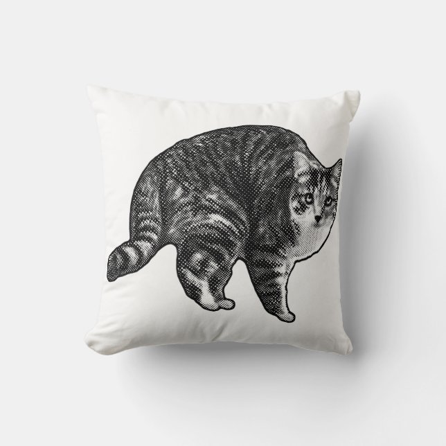 Coussin Twilight Tabby Watch (Recto)