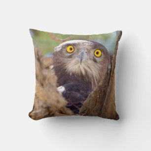 Coussin Un Aigle serpentaire à poitrine blanche