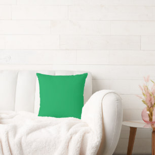 Coussin un arrière - plan vert avec un