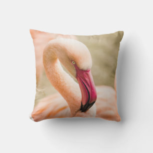 Coussin Un Beau Flamant rose Rose