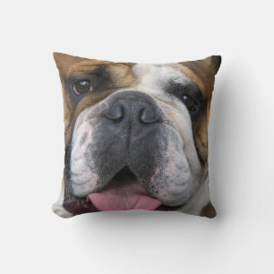 Coussin Un bouledogue anglais en Belgique.