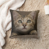 Coussin Un chaton tigré très doux (Couverture)