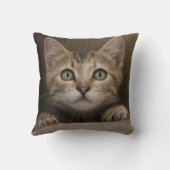 Coussin Un chaton tigré très doux (Verso)
