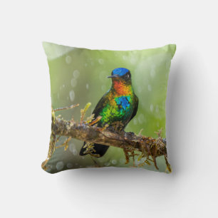 Coussin Un colibri à gorge ardente dans la forêt nuageuse