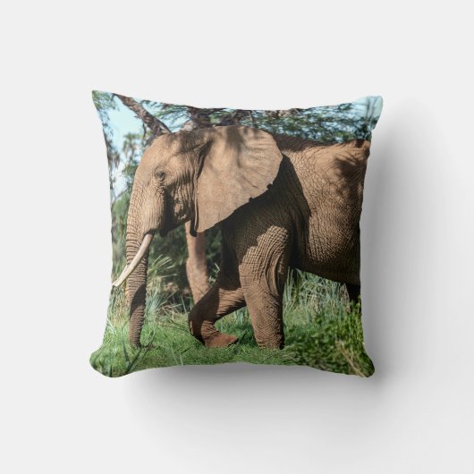 Coussin Un éléphant africain au Safari (Recto)