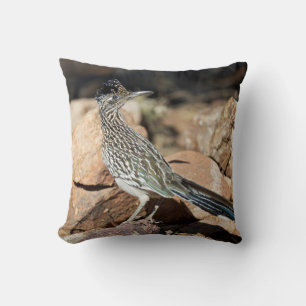 Coussin Un géocoucou de Californie s'arrête un instant dan