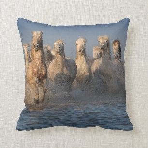 Coussin Un groupe de chevaux blancs dans la région de