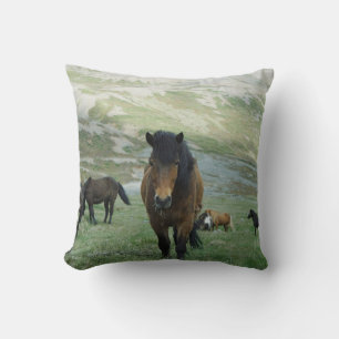 COUSSIN UN GROUPE DE CHEVAUX SUR UNE PÂTE DE MONTAGNE