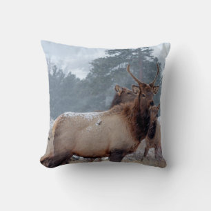 COUSSIN UN GROUPE DE DEERS