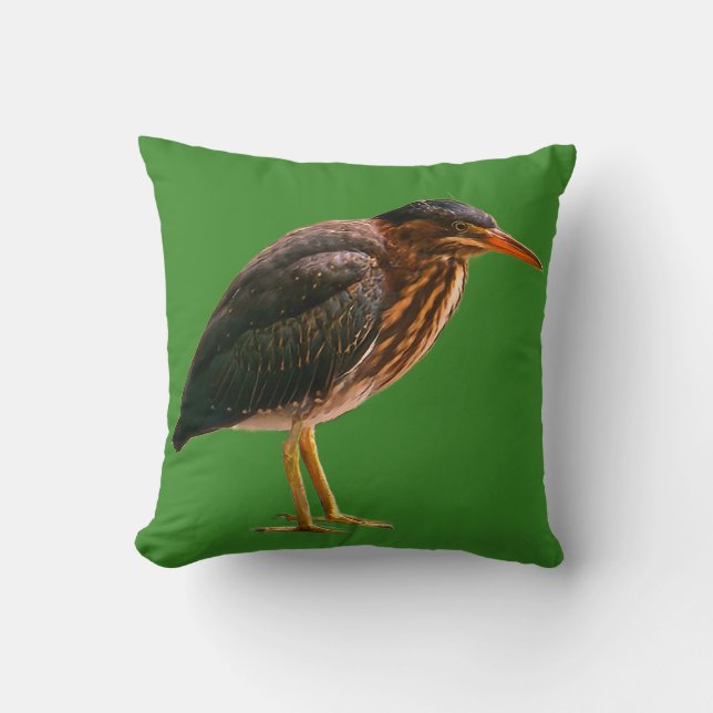Coussin Un Héron vert juvénile  (Recto)