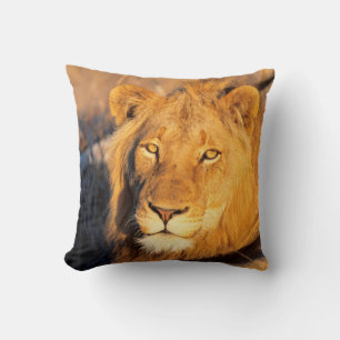 Coussin Un lion à crinière rouge regardant l'appareil phot