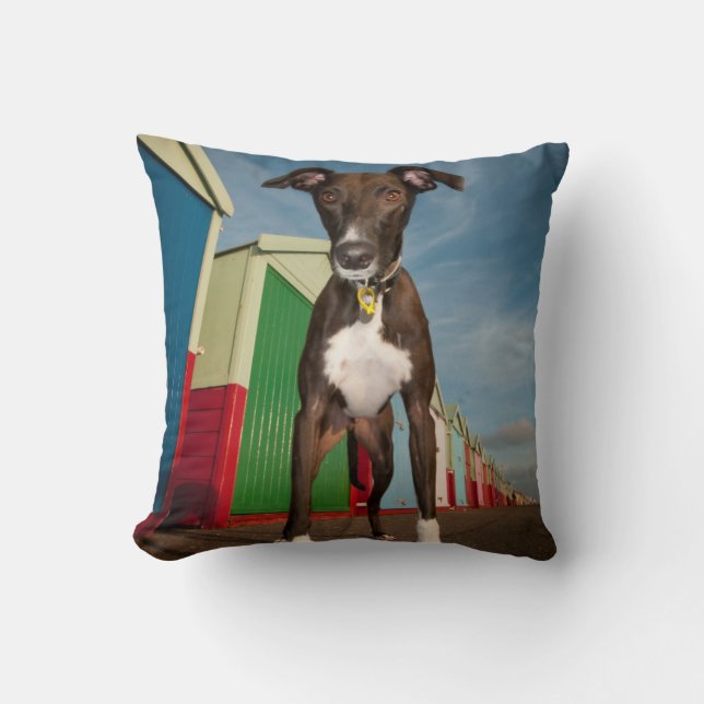 Coussin Un Lurcher se tenant devant quelques huttes de (Recto)