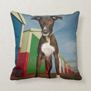 Coussin Un Lurcher se tenant devant quelques huttes de