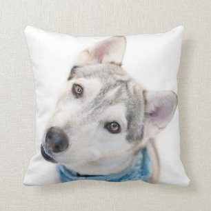 Coussin Un mélange sibérien d'Husky se tortille la tête