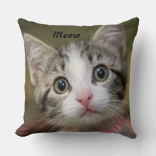 Coussin Un mignon chaton aux yeux verts