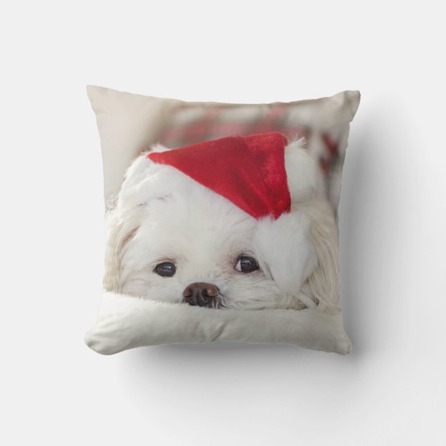 Coussin Un mignon chien blanc dans un Casquette de Noël ro (Recto)