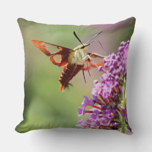Coussin Un papillon de nuit sur un papillon