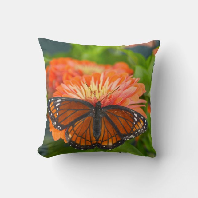 Coussin Un papillon Viceroy sur Orange Zinnias (Recto)