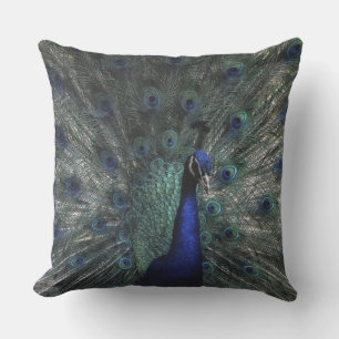 Coussin Un Peacocks Belles Plumes Ouvertes