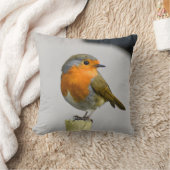Coussin Un Robin Très Étonnant (Couverture)