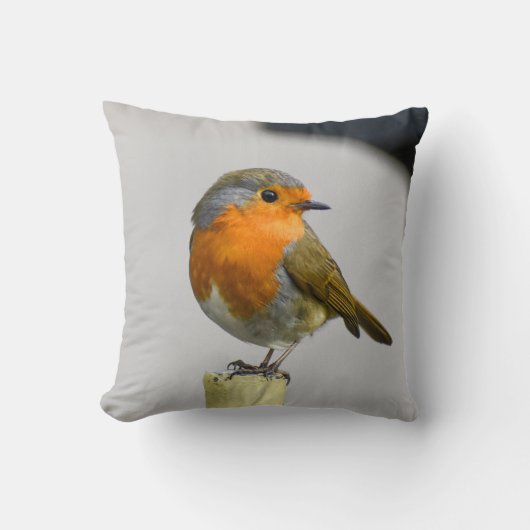Coussin Un Robin Très Étonnant (Recto)