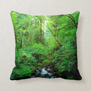 Coussin Un ruisseau dans une forêt ancienne