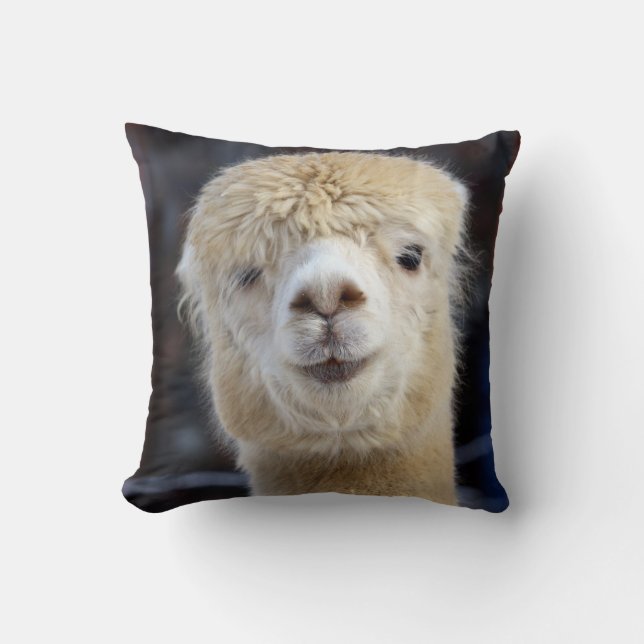 Coussin Un visage mignon et duveteux d'alpaca (Recto)