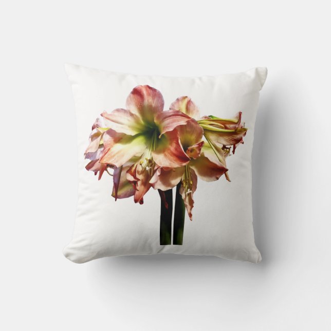 Coussin Une belle Amaryllis rose et blanc (Recto)