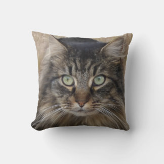 Coussin Une photo d'un chat tigre avec une fourrure mervei