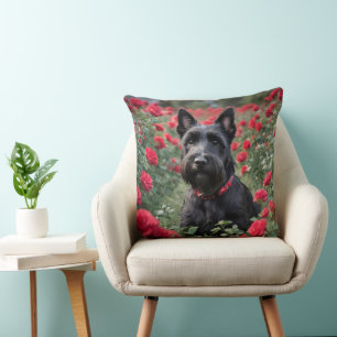 Coussin "Une rose rouge pour le Terrier écossais noir"