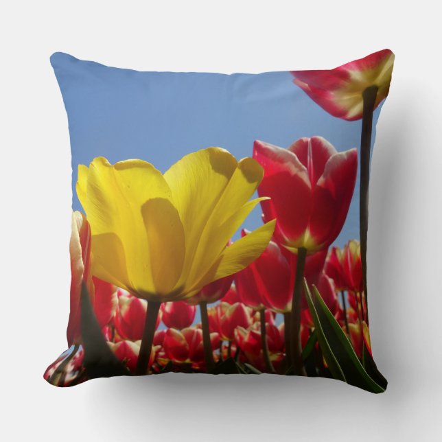 Coussin Une Tulipe Jaune dans le champ des Tulipes Rouges  (Recto)