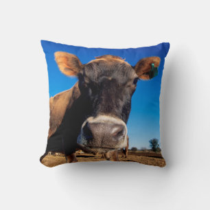 Coussin Une vache jersiaise curieuse