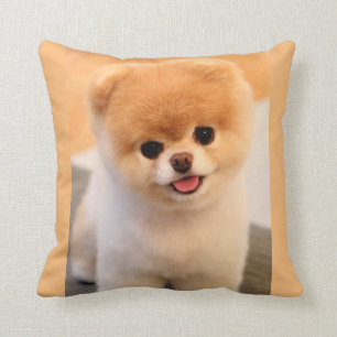 Coussin Unique de Poméranie au charme doux