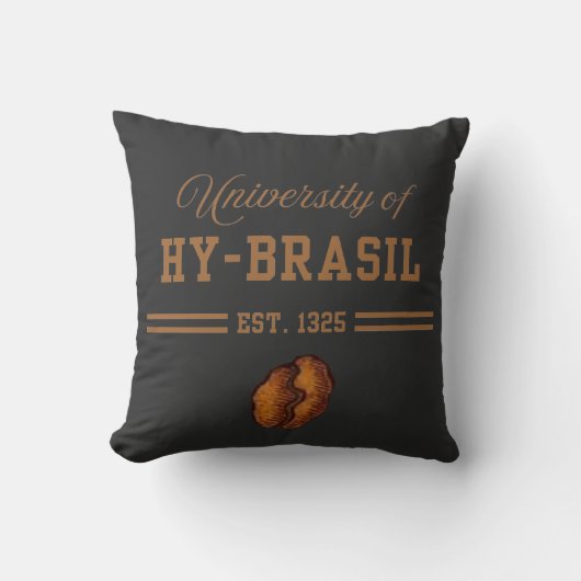 Coussin Université de Hy-Brasil, Ét. 1325 (Recto)