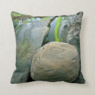 Coussin USA, Oregon, Shore Acres State Park