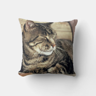 Coussin USA, Utah, Capitol Reef NP. Tablette dormante