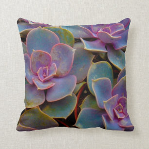 Coussin Usine succulente pourpre de cactus de vert bleu