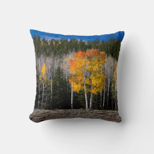 Coussin Utah, États-Unis. Peupliers Trembles (Populus Trem
