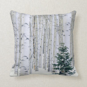 Coussin UTAH. USA. Aspen (Populus tremuloides) et Douglas