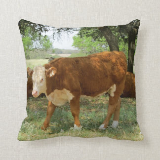 Coussin Vache au Texas