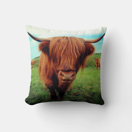 Coussin Vache écossaise des Highlanders (Recto)