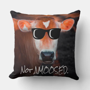 Coussin Vache en lunettes de soleil Pas aMOOsed mignon drô