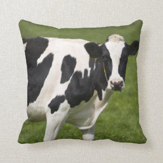 Coussin Vache frisonne